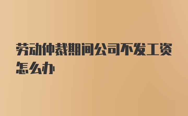 劳动仲裁期间公司不发工资怎么办