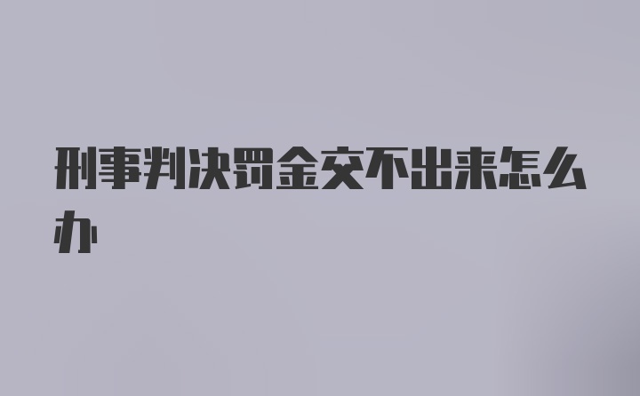 刑事判决罚金交不出来怎么办