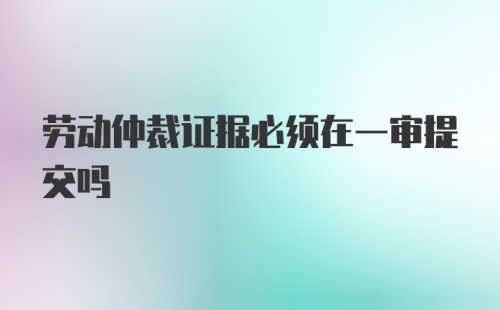 劳动仲裁证据必须在一审提交吗