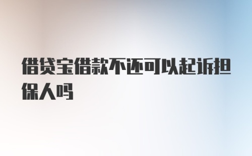 借贷宝借款不还可以起诉担保人吗