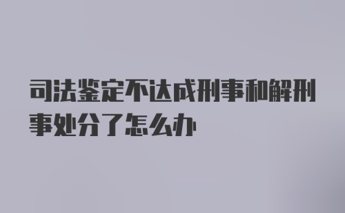 司法鉴定不达成刑事和解刑事处分了怎么办