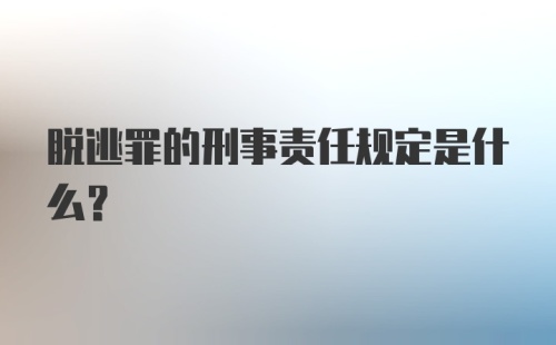 脱逃罪的刑事责任规定是什么?