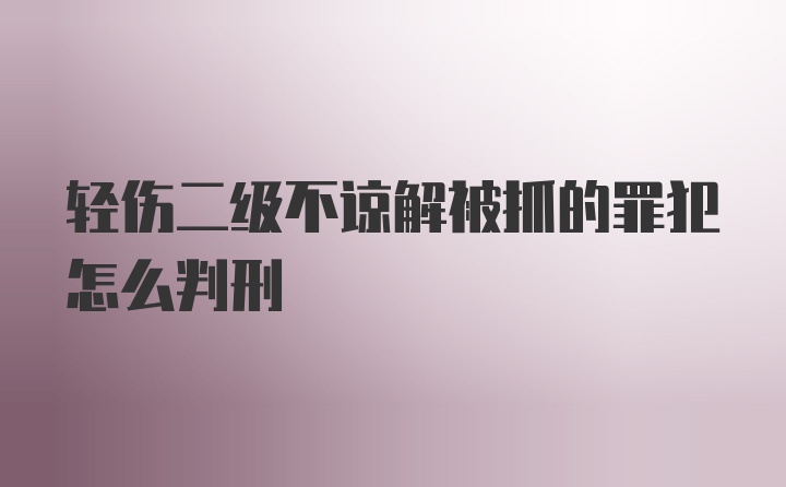 轻伤二级不谅解被抓的罪犯怎么判刑