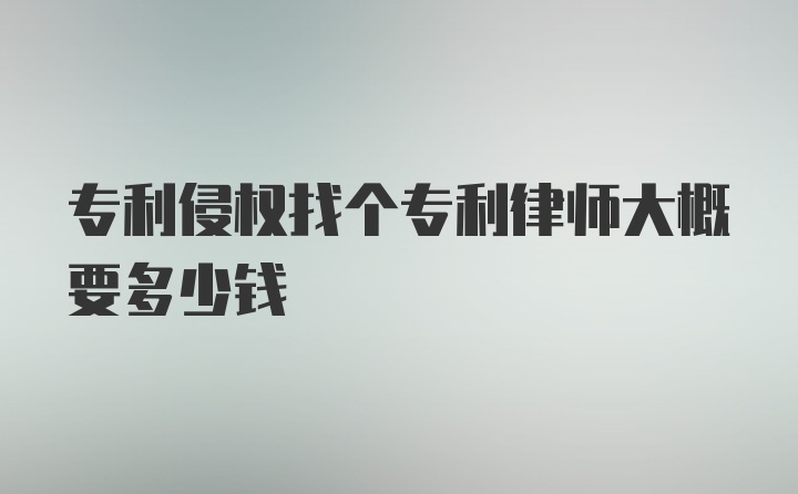 专利侵权找个专利律师大概要多少钱