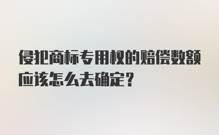 侵犯商标专用权的赔偿数额应该怎么去确定？