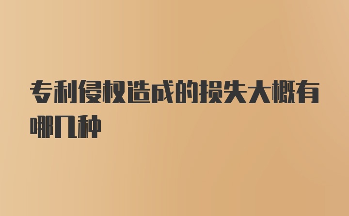 专利侵权造成的损失大概有哪几种