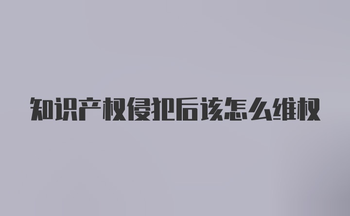 知识产权侵犯后该怎么维权