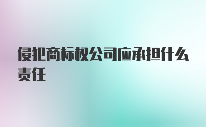 侵犯商标权公司应承担什么责任