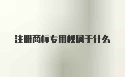 注册商标专用权属于什么