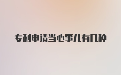 专利申请当心事儿有几种