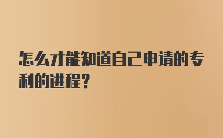 怎么才能知道自己申请的专利的进程?