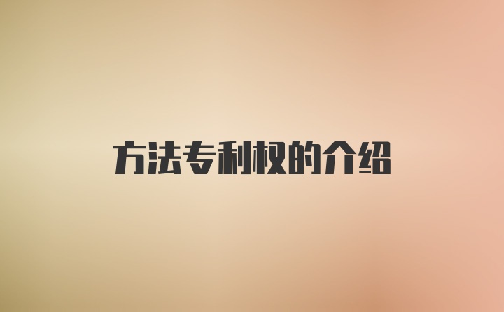 方法专利权的介绍