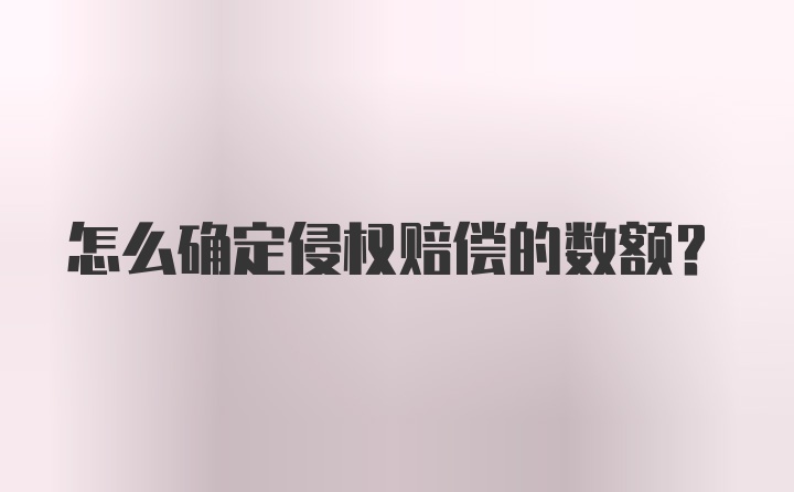 怎么确定侵权赔偿的数额？