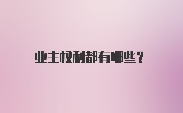 业主权利都有哪些？