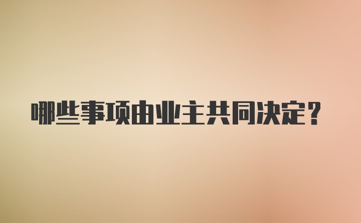 哪些事项由业主共同决定？