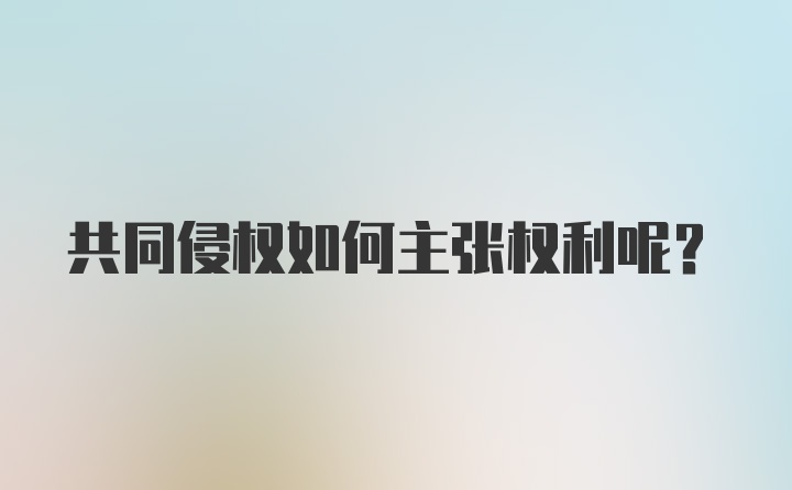 共同侵权如何主张权利呢？