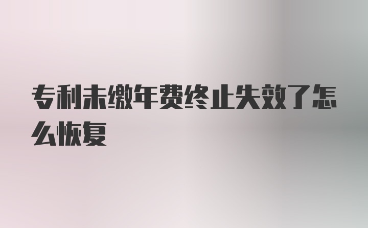 专利未缴年费终止失效了怎么恢复