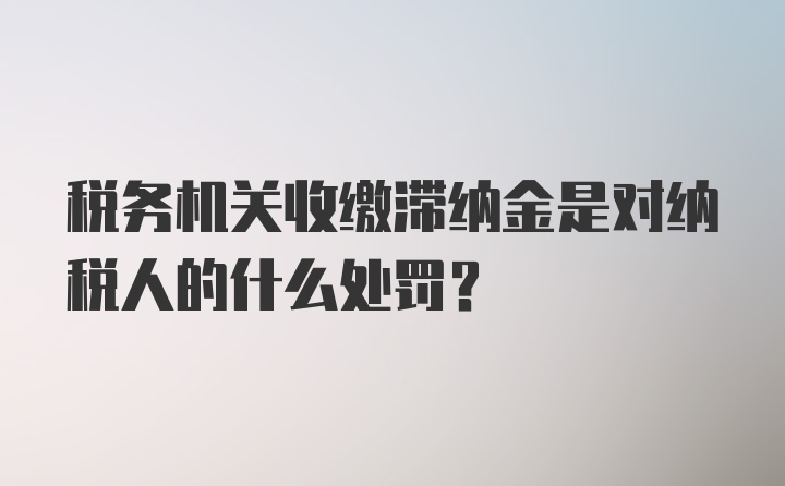 税务机关收缴滞纳金是对纳税人的什么处罚？