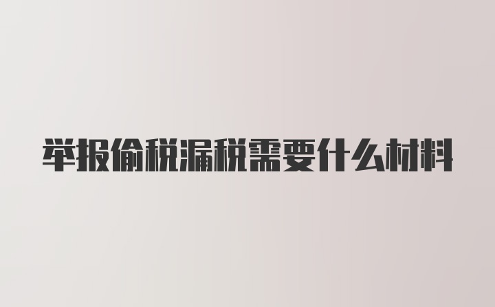 举报偷税漏税需要什么材料