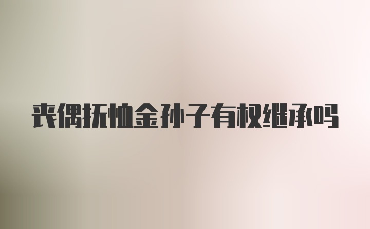 丧偶抚恤金孙子有权继承吗