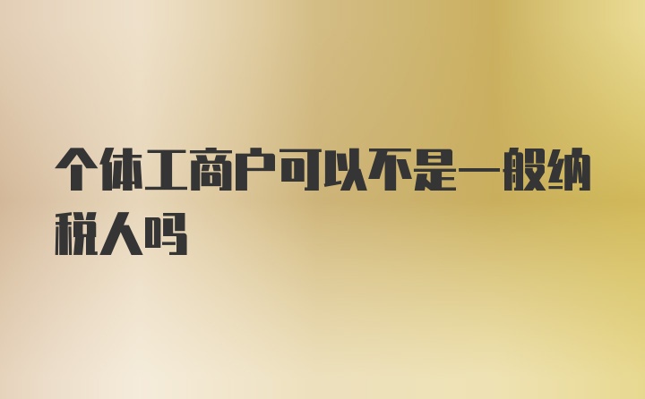 个体工商户可以不是一般纳税人吗