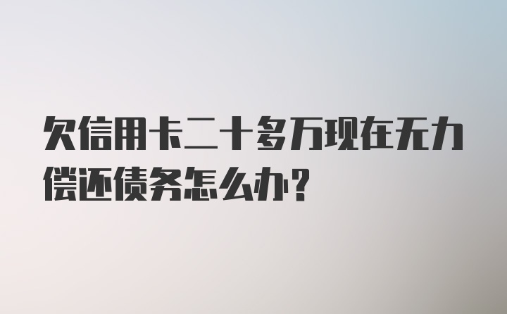 欠信用卡二十多万现在无力偿还债务怎么办？