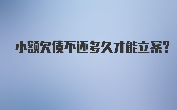 小额欠债不还多久才能立案？