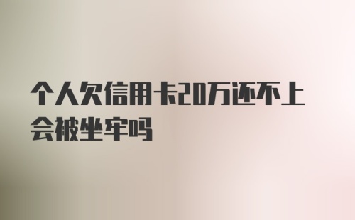 个人欠信用卡20万还不上会被坐牢吗