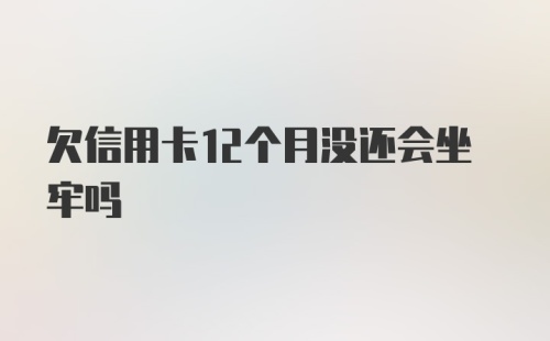 欠信用卡12个月没还会坐牢吗