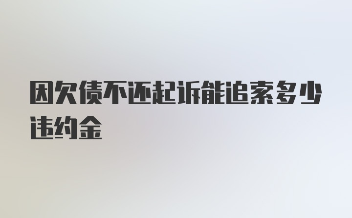 因欠债不还起诉能追索多少违约金