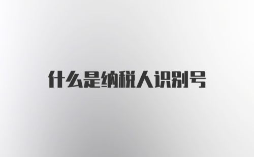 什么是纳税人识别号