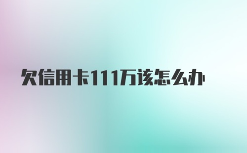 欠信用卡111万该怎么办