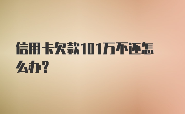 信用卡欠款101万不还怎么办？