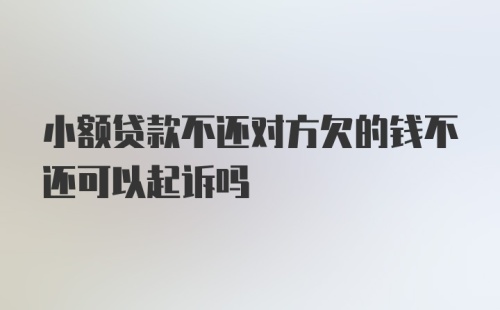 小额贷款不还对方欠的钱不还可以起诉吗