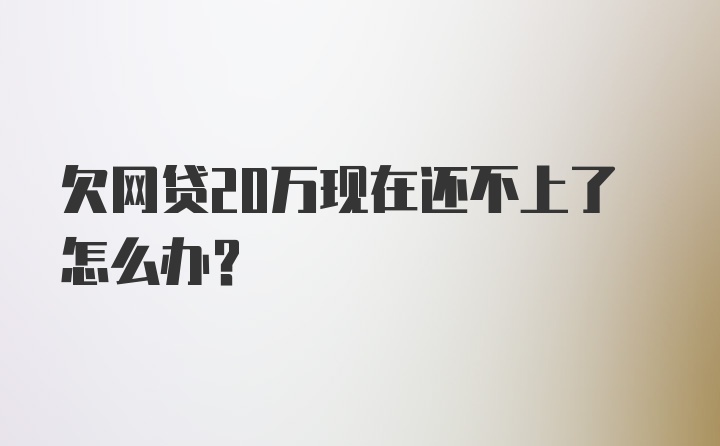 欠网贷20万现在还不上了怎么办？