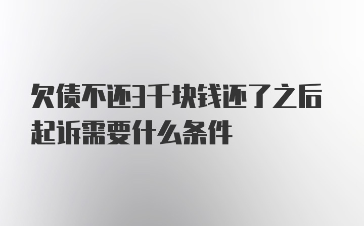 欠债不还3千块钱还了之后起诉需要什么条件