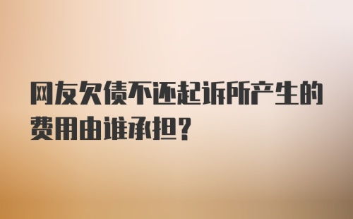 网友欠债不还起诉所产生的费用由谁承担？