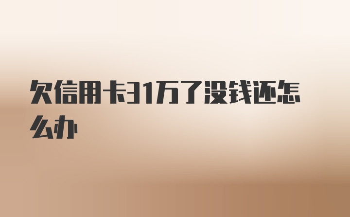 欠信用卡31万了没钱还怎么办