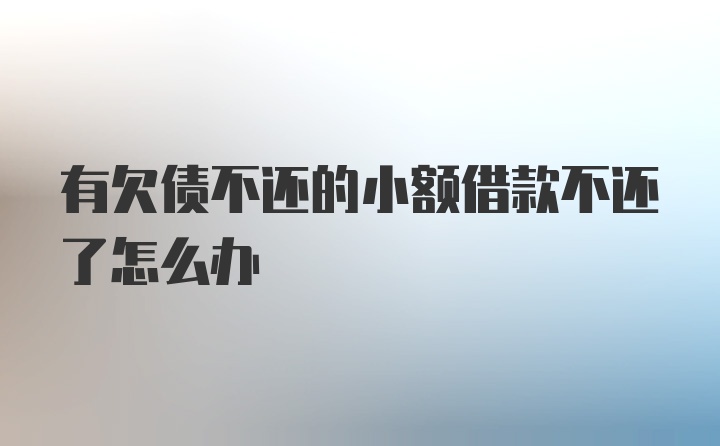 有欠债不还的小额借款不还了怎么办