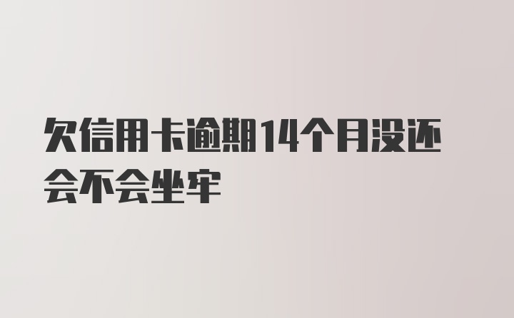 欠信用卡逾期14个月没还会不会坐牢