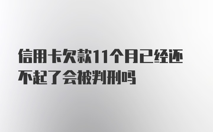 信用卡欠款11个月已经还不起了会被判刑吗