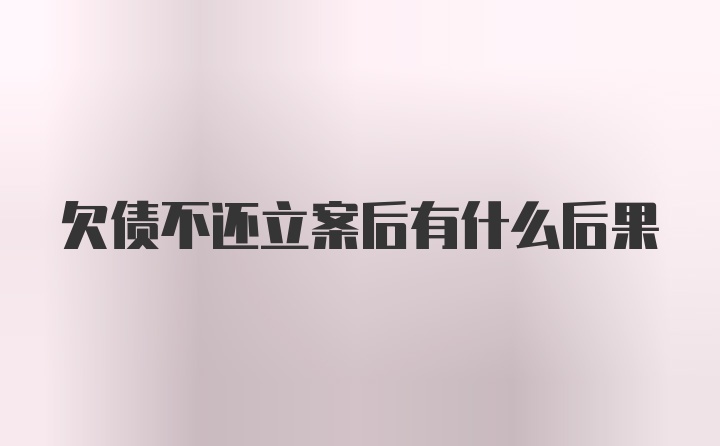 欠债不还立案后有什么后果