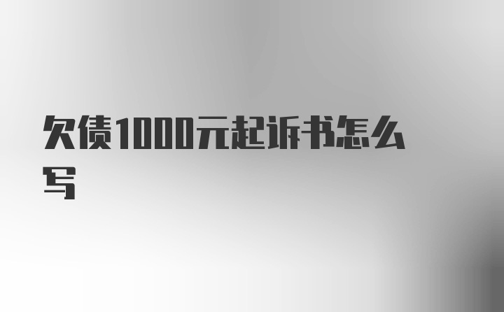 欠债1000元起诉书怎么写