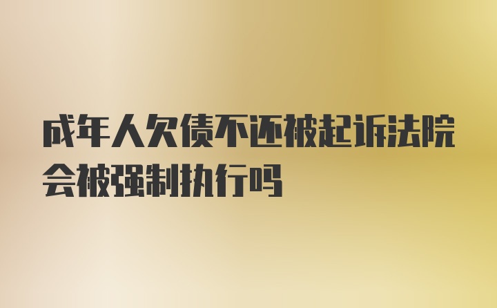 成年人欠债不还被起诉法院会被强制执行吗