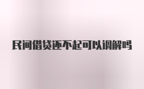 民间借贷还不起可以调解吗