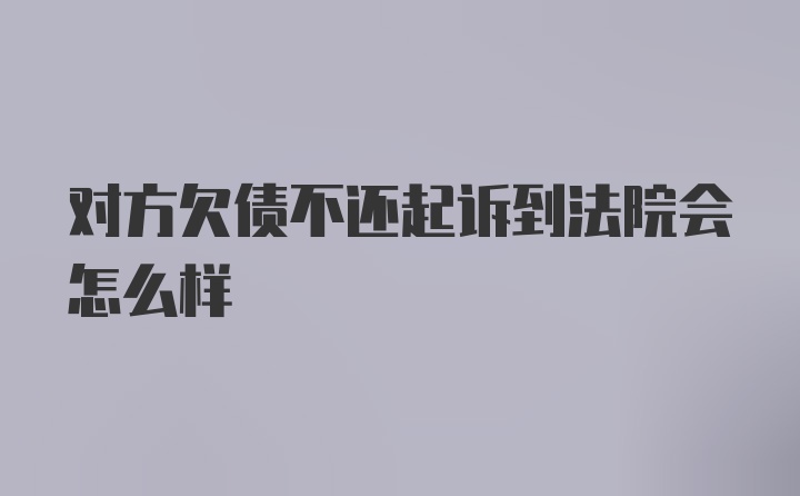 对方欠债不还起诉到法院会怎么样