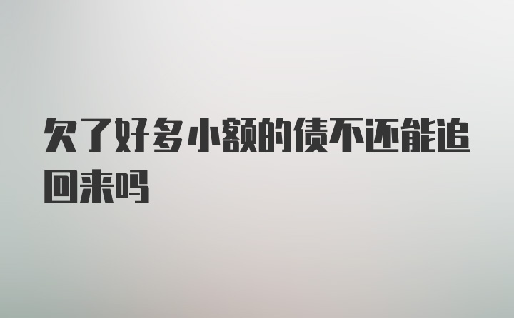 欠了好多小额的债不还能追回来吗