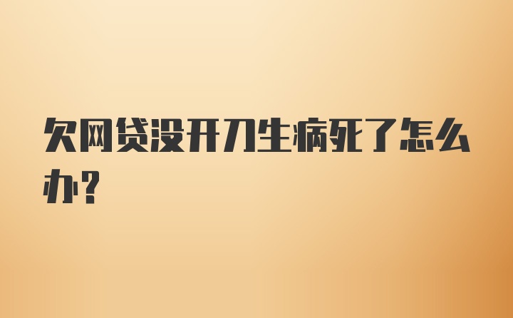 欠网贷没开刀生病死了怎么办？