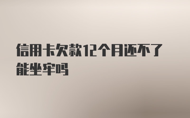 信用卡欠款12个月还不了能坐牢吗