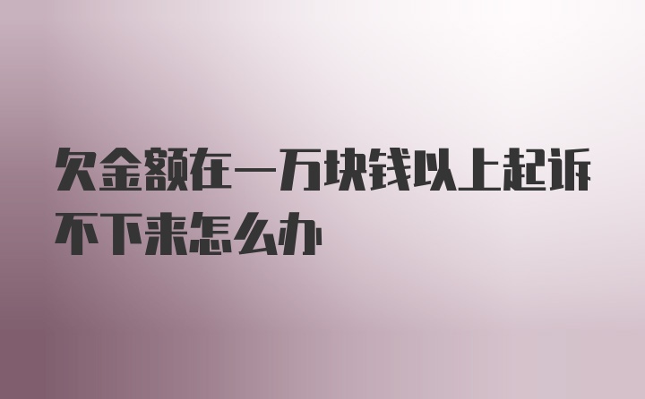 欠金额在一万块钱以上起诉不下来怎么办